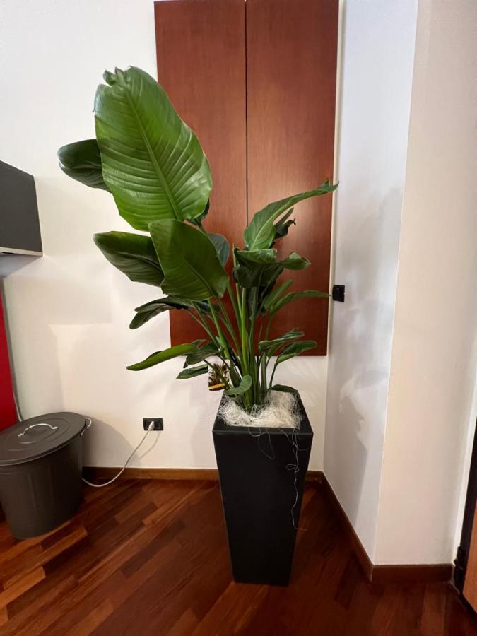Effealatapartments - Appartamento Del Duca เซนีกัลเลีย ภายนอก รูปภาพ